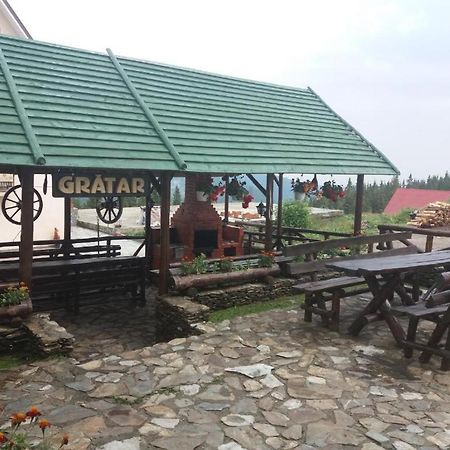 Pensiunea Brandusa Rânca Zewnętrze zdjęcie