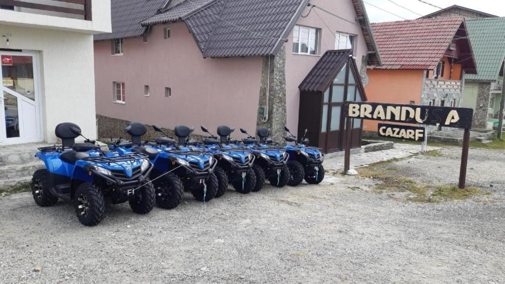 Pensiunea Brandusa Rânca Zewnętrze zdjęcie